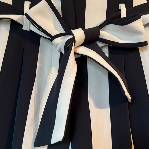 🎉MOVING SALE🎉 H&M Striped Trousers - Picture 3 of 6